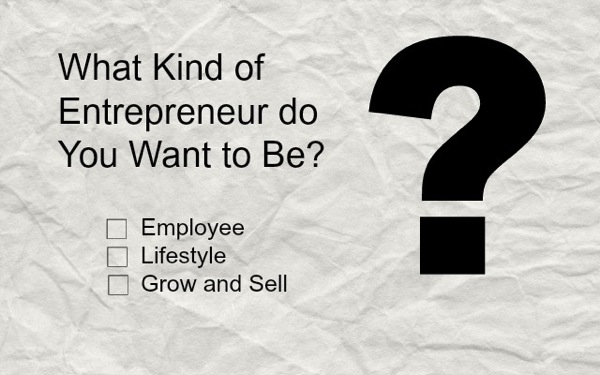 What kind of an entrepreneur are you?