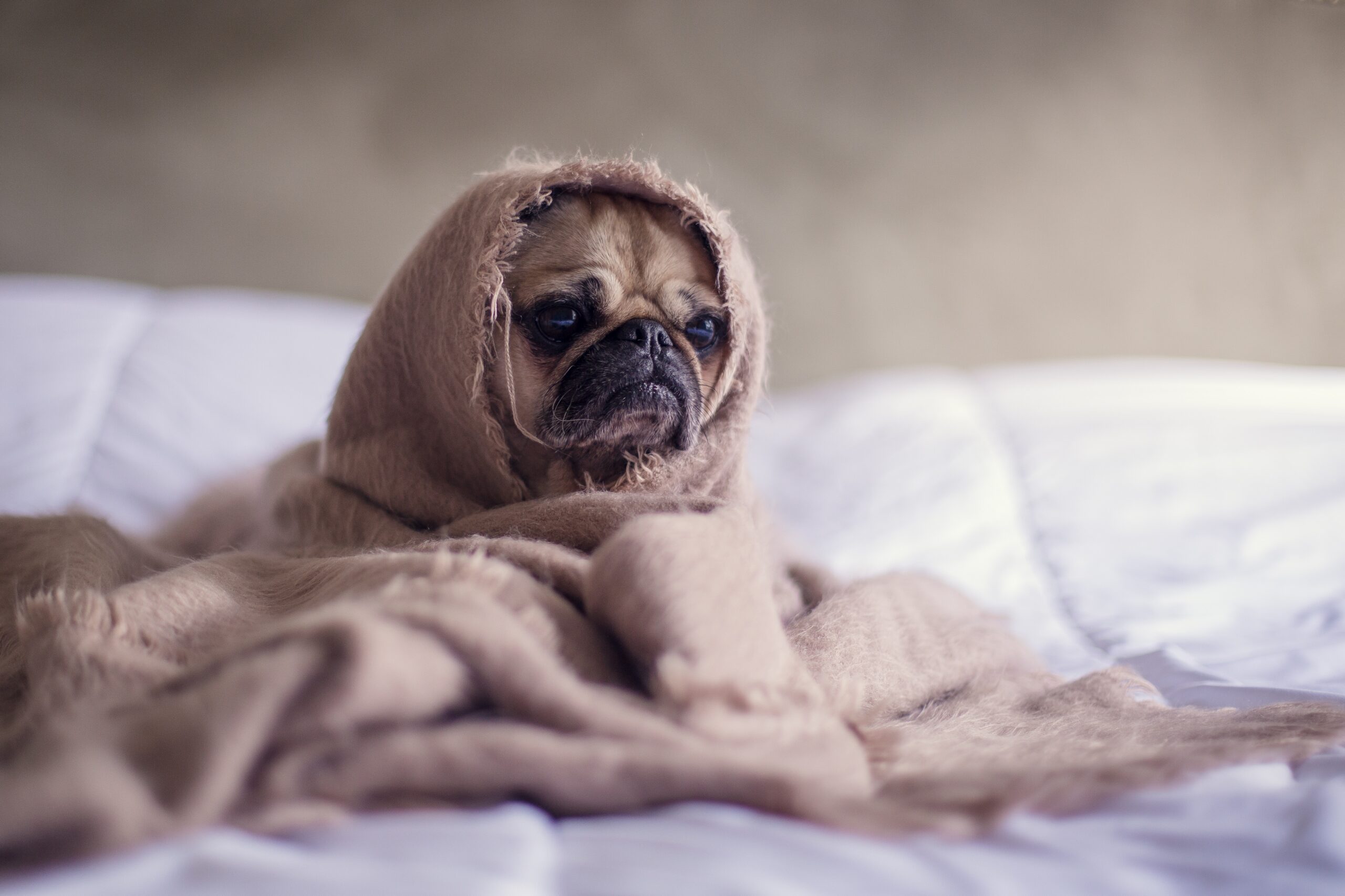 Feeling Overwhelmed? A Quick Fix for Getting Back to Productivity