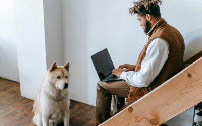 Ownership Isn’t What You Think: The Real Framework for Tech Pros